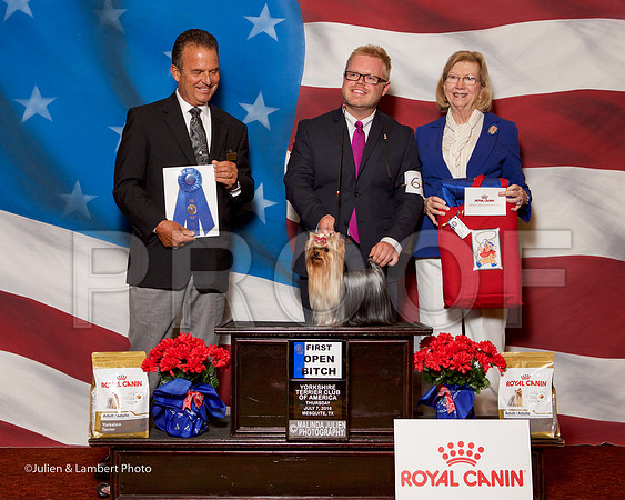 _ST_6320-YorkieNatJul2016-HR