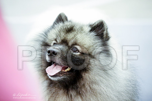 _CK_5093-HstnJul2014-HR3