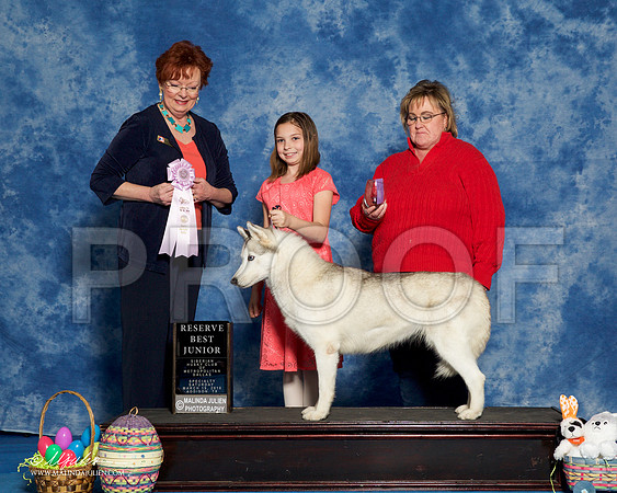_R1_8207-Edit-HuskySltyMar2016-HR3