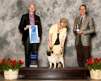 Pug #5 Sun G1 Griffin L D Hedstrom R Brewer JE Huff M Norton Judge Troy Dargin