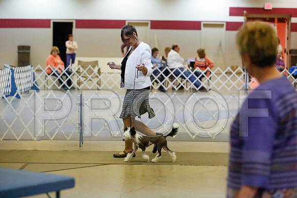 _JJ_9026-AmarilloSept2014-HR3