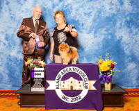 Pomeranian #19 Sat WD Fisbeck Jeanette Judge Dr Roger S Pritchard