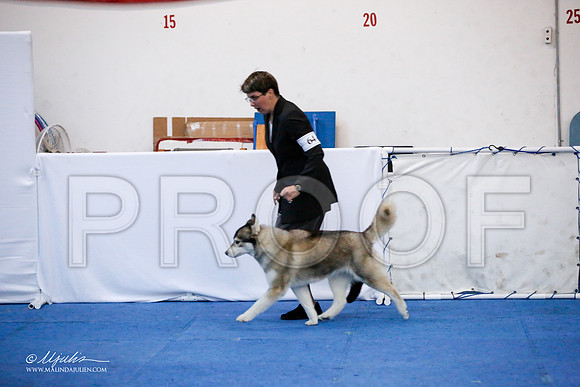 _JJ_0179-HuskySltyMar2016-HR3