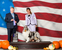 Shetland Sheepdogs #5 Sat WD Clemens DeNise Guy Thelma Mauldin Agent Mendy Gleason Judge Mr Richard H Mullen