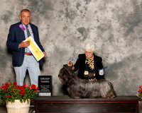 Skye Terrier #8 Sun G3 Schuman Cheryl and Meg Smith and Baylie Smith Judge Desmond Murphy