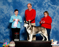 #29 Sat BOS Vet Sweeps Carl and Tammy L Wegerer and Pamela Meek Judge Tedi Devlin