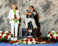 Bedlington #6 Sat BBE G2 Gustavson Tracey Judge Sharon Newcombe