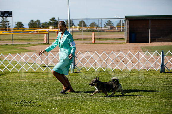 _JJ_2560-AlamogordoOct2014-HR3