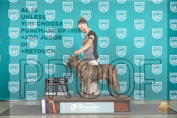 Presa Canario #542 Thur T10BOB FriBOB__JP_1624_Premier_2024_HR3