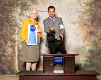 Affenpinscher #5 Fri G1 Girouard Doyle and Carol Agent Alfonso Escobedo Judge Ann Hearn