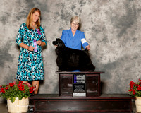 Cocker Spaniel Black #16 Sat Maj WB Ahlquist Kristi Judge Marla Doheny