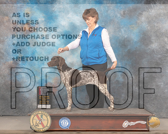 German Shorthaired Pointer #20 Fri BOS Judge Barbara DempseyMMJ_5224_Mdlnd2022_HR3