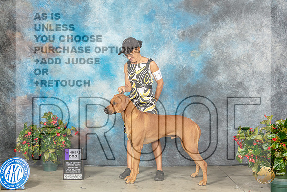Rhodesian Ridgeback #11 Thur WD Judge Jay RichardsonMJP_7144_SA2023_HR3