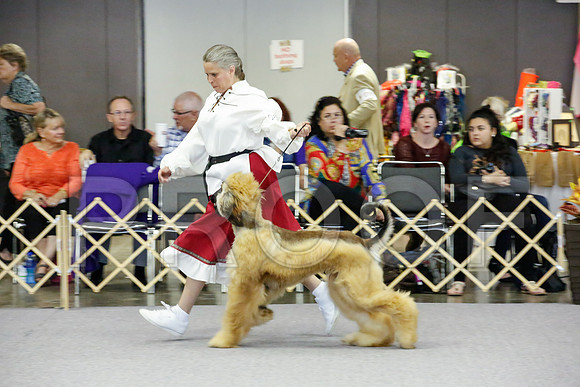 _JJ_0242-AfgBeltonOct2014-HR3