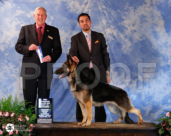 gsd-0569-HstnMar2014-HR3