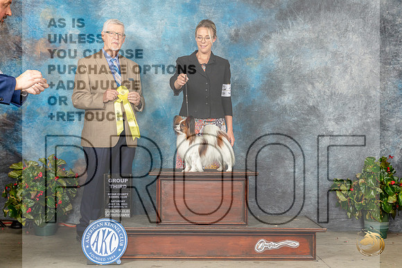 Papillon #34 Sat G3 Judge Dr Michael J WoodsMJP_9180_SA2023_HR3