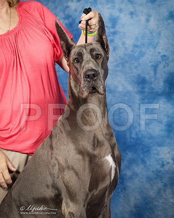 _ST_7364-SAJul2014-HR3