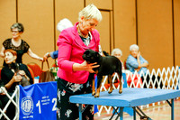 Brussels Griffons Sat