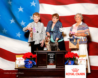 #77 Fri 4th 9-12 Dog Sweeps Wylie Anne Judge Sherida Nelson