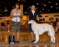 Borzoi #11 Sun BOW Maj Hepler Anastasia judge Ms Helene Nietsch