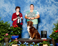 Australian Shepherd #R70 Fri Nov NT Garrett Emily Judge Donna Eddins