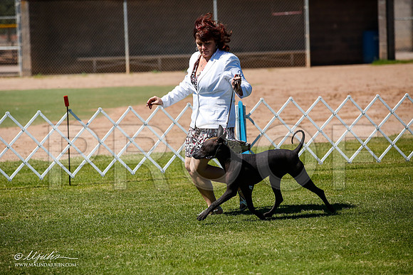 _JJ_8155-AlamogordoOct2014-HR3