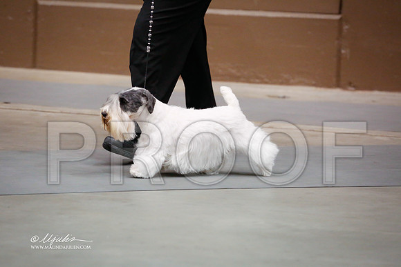 Seal-4048-SANov13-HR