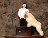 Bouvier De Flandre #6 Sat Custom Bowman Laura L and Annessa Towell and Douglas Johnson