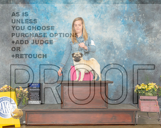Pug #5 Sat BOW Judge Ray Filburn-MMJ_0747-NWARK2022-HR3