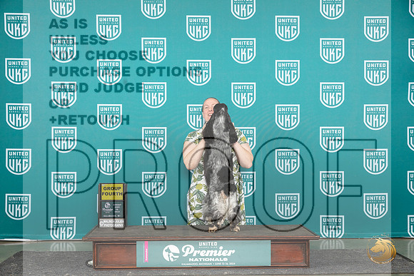 English Cocker Spaniel #165 Sun G4 Judge Kathie Short__JP_3416_Premier_2024_HR3