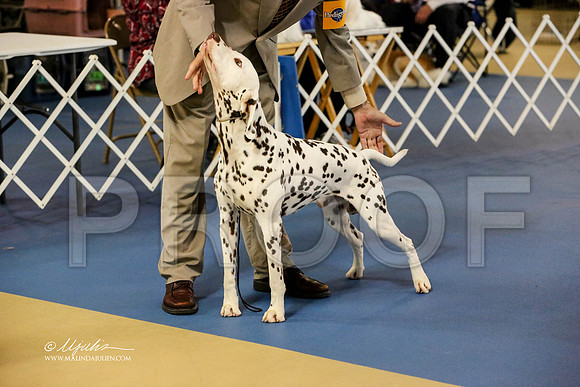 dal-7388-HuttoJul13