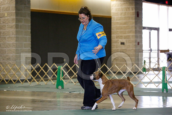 _JN_1643-BeltonJan2015-HR3
