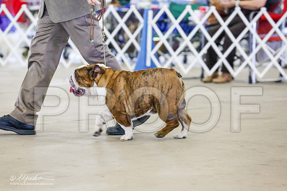 _RH_9535-AlamogordoOct2014-HR3