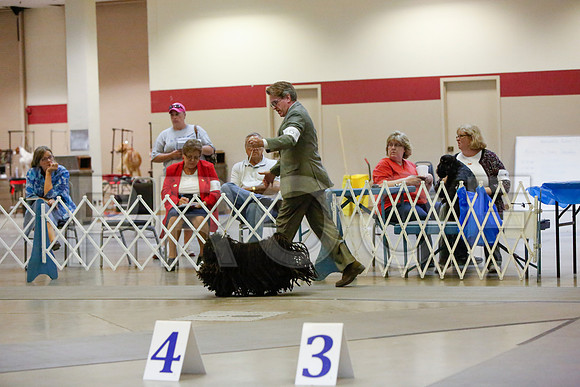 _JN_4738-AmarilloSept2014-HR3