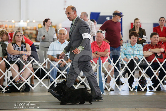 _JJ_2075-DallasJul2014-HR3