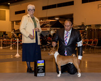 Basenji #23 Sun BOB Behles JD & A Whalen & S Allen