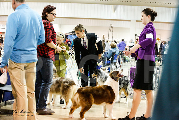 _JN_9829-ASCACollegeStationNov2014-HR3