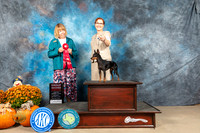 Manchester Terrier #8 Sat G2 Judge Shelley Hennessey