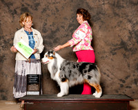 Australian Shepherd #9 Sat OH G2 Guenther Annette Judge Peggy Beisel McIlwaine