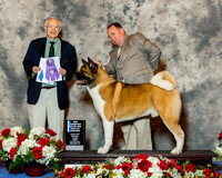 Akita #9 Fri Maj BOW NC Drennan Jill & Russell Alaskan Malamute #25 Fri SD Schireman Amber & Emily Flores Judge Mr Ronald H Menaker