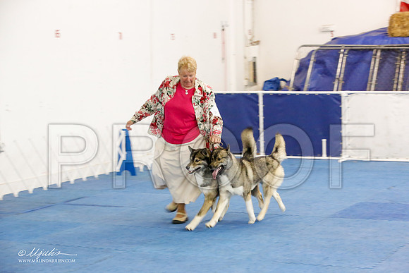 _M3_1662-AddisonHuskyMar2015-HR3