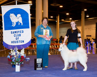 Samoyed #J402 Best Jr Sorley Melissa and Barbara Winslow and Kathleen Farlow Judge Shilon Bedford