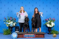 Black and Tan Coonhound THUR ATT Test New Title