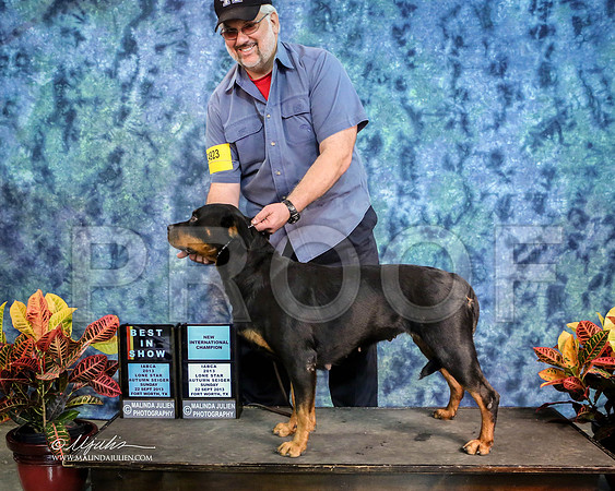 rott-1106-IABCAFWSpt13-HR