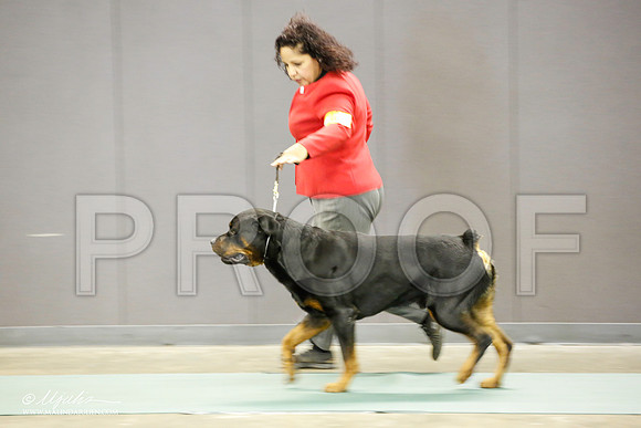 _JN_2132-BeltonJan2015-HR3