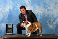 Bulldog #10 Sat 1st Novice Arriaga Rajo Martin Jduge Mrs Murrel Purkhiser +A2