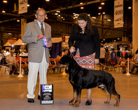Rottweiler #35 Sun WD Baker Elizabeth Agent Colette Livingston Judge Dr Robert A Indeglia