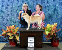 Sniba Inu Sun S2 Group 1 Samantha Sillet Hutto Sep 2013