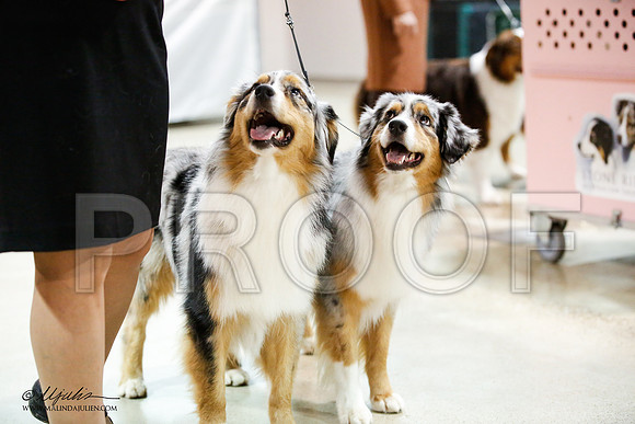 _JJ_1640-ASCACollegeStationNov2014-HR3