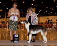 Borzoi #34 Sun WB Maj Hlatky Prudence & Gregory Judge Ms Helene Nietsch